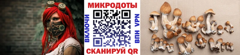 Галлюциногенные грибы ЛСД Верхотурье